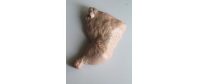 Геймерские ноутбуки